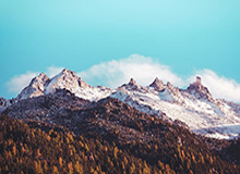 奇异果体育-申京33+9杜兰特33+8 火箭送灰熊三连败